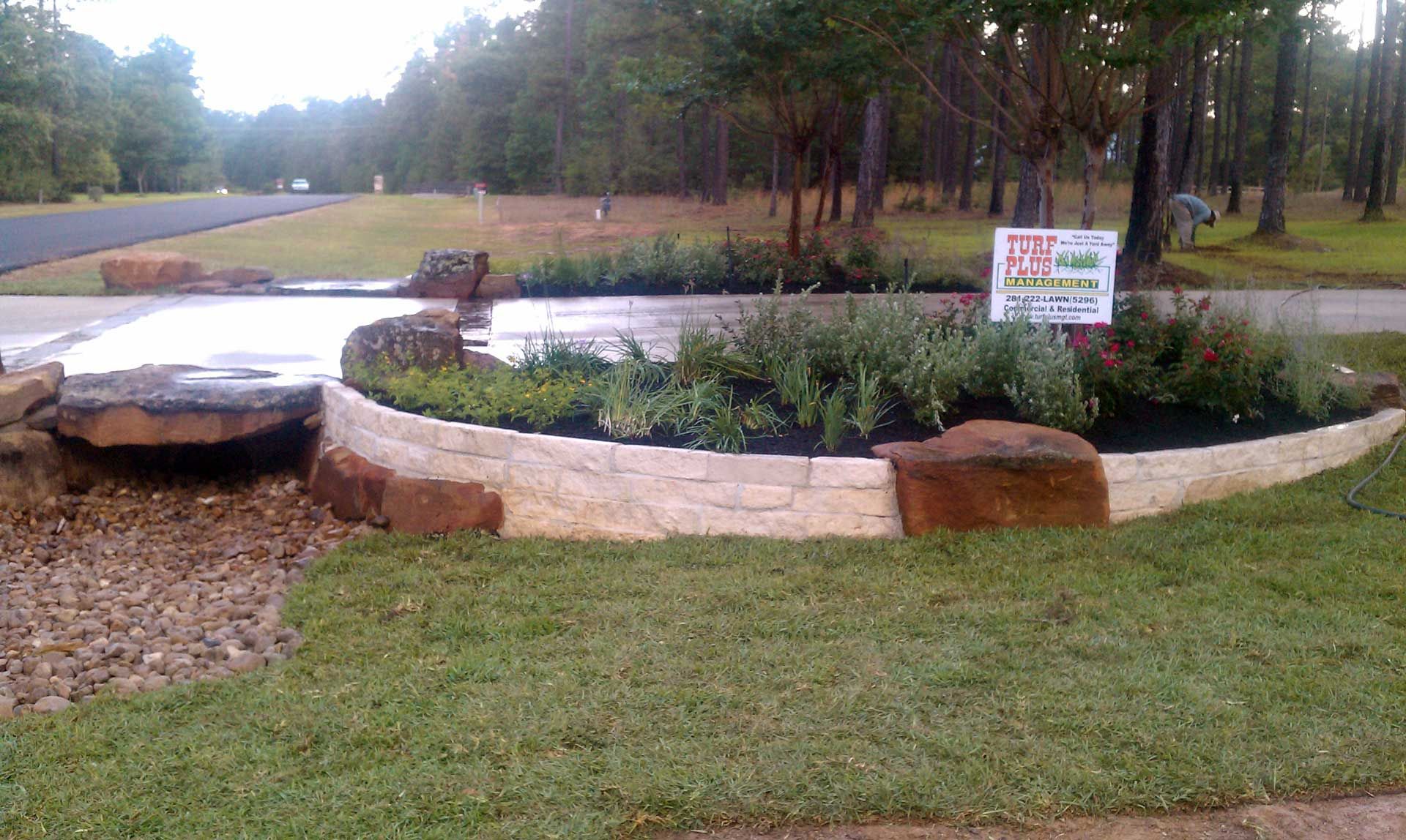 Circular landscaping made in stone with Desert Spoon plants