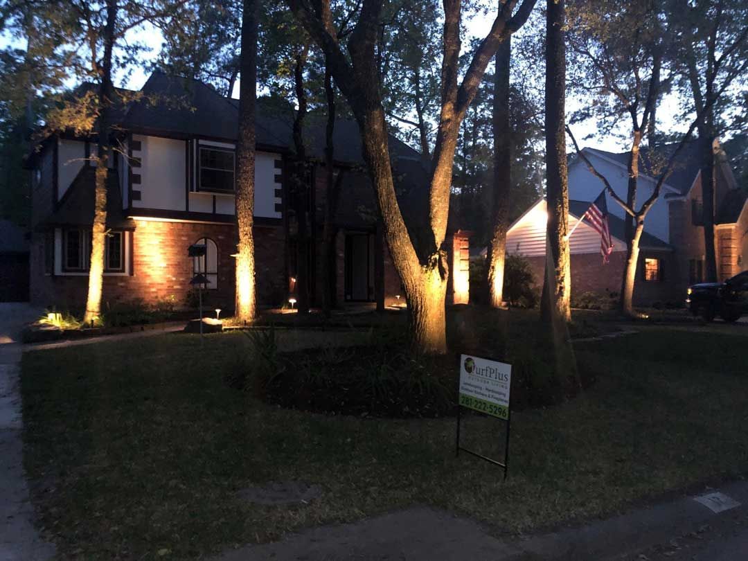 Illuminated house appeal trees