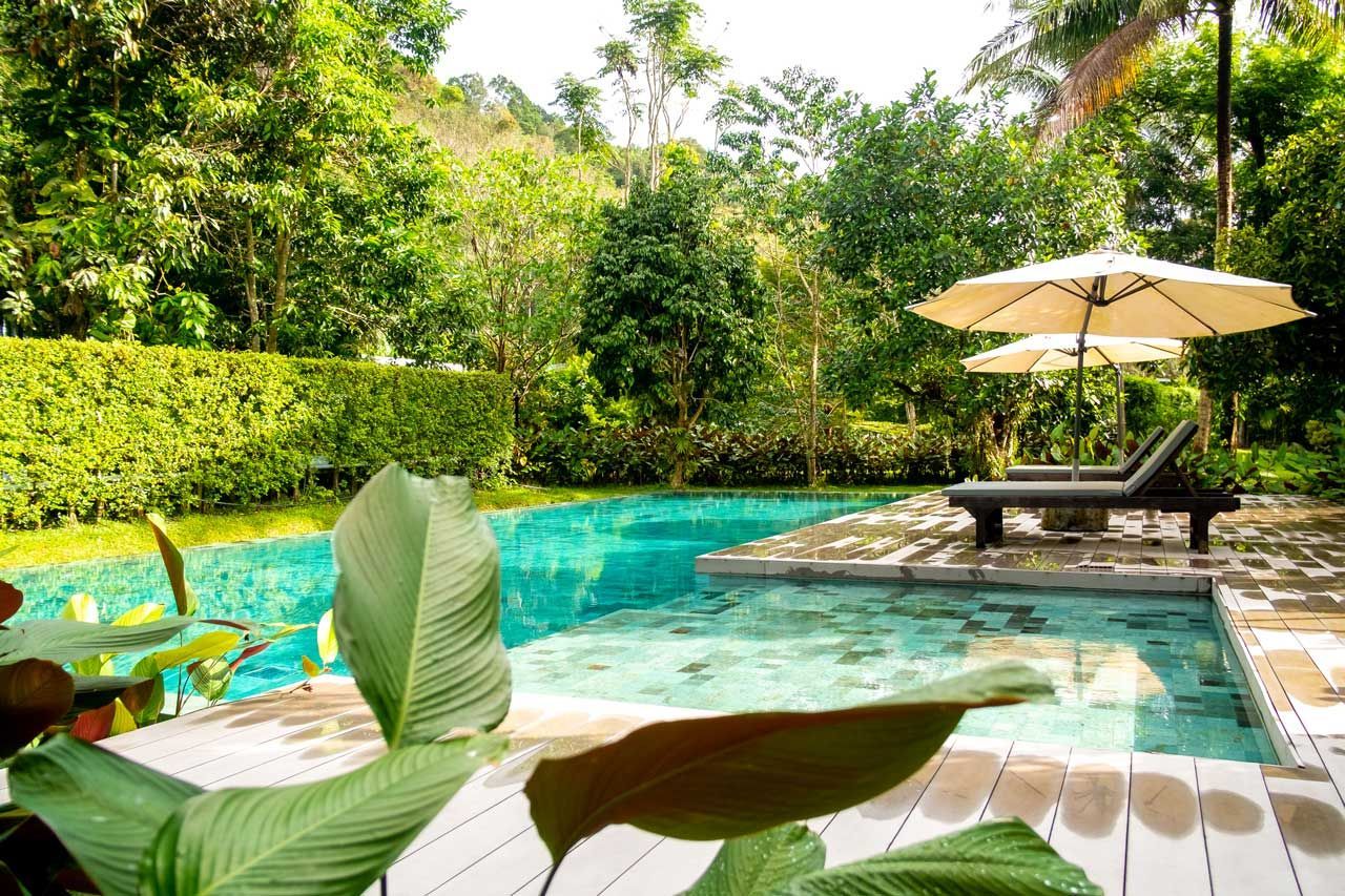 Swimming pool surrounded by beautiful landscaping plants