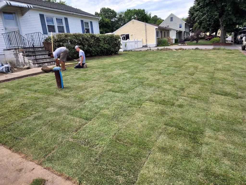 Sod Installation team