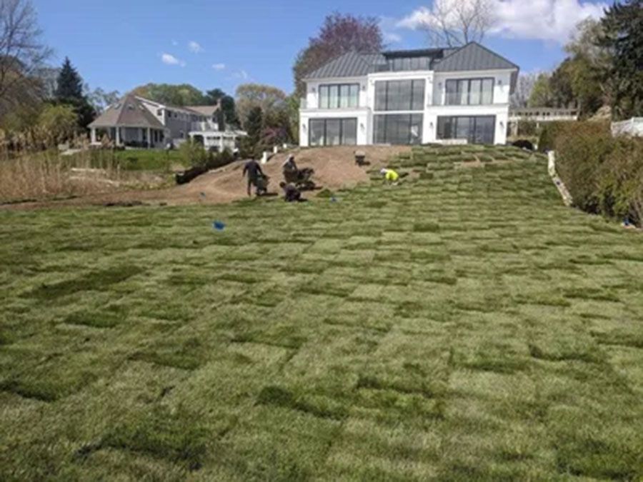 Sod installation team at work