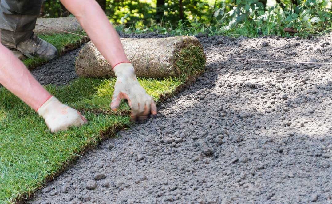 Sod Installation