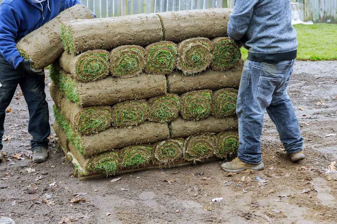 Sod stack to install