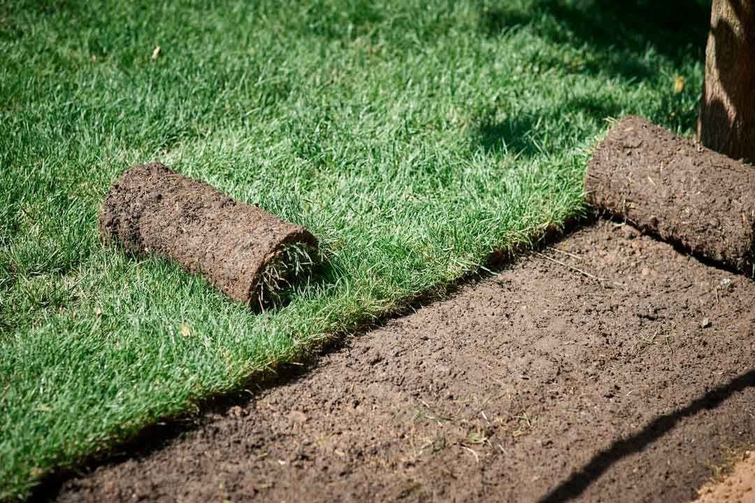 Sod installation