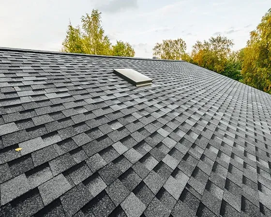 Gray shingle roof with a skylight, viewed from above with trees in the background