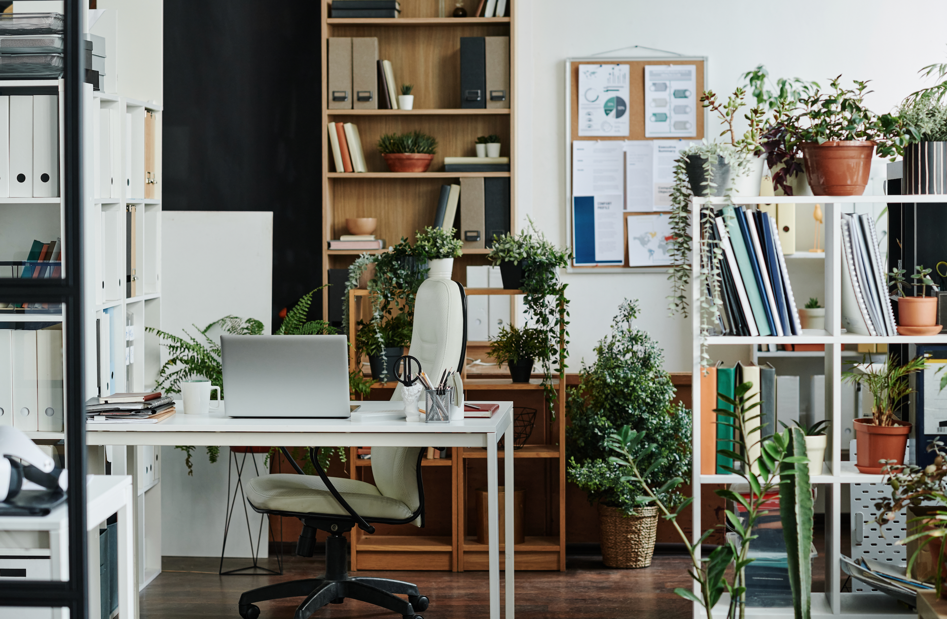 Plant-filled modern office with desks, shelves, and laptops in a bright workspace