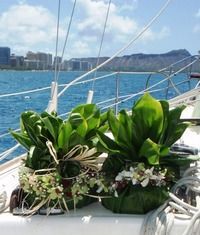 Green potted plants on a sailboat deck with blue water and city skyline in the background