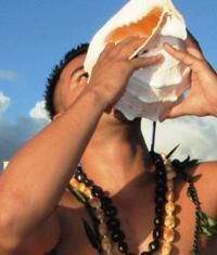 Person drinking from a conch shell outdoors under a blue sky.