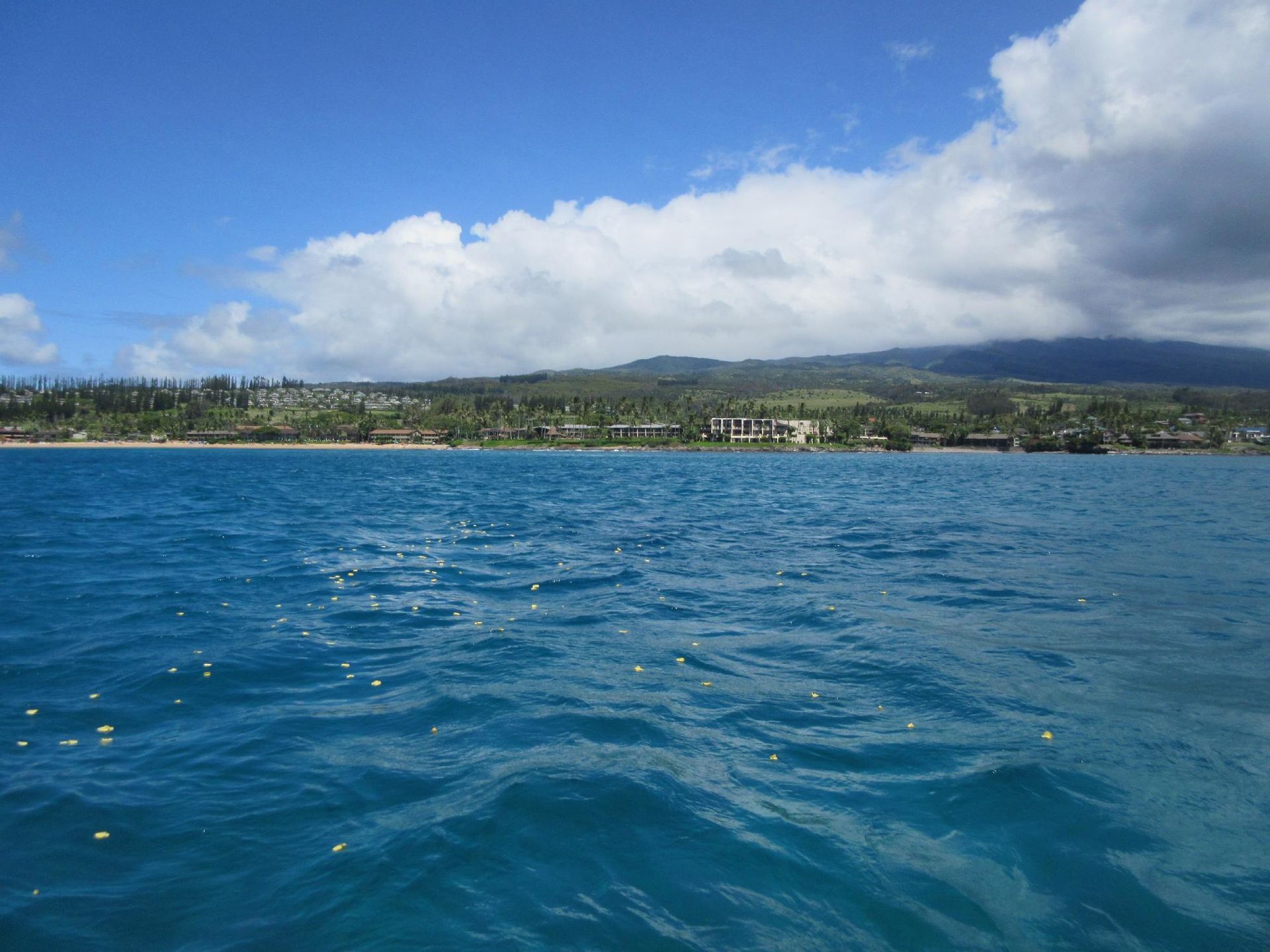 Blue ocean with small waves, a distant green coastline, and a bright cloudy sky
