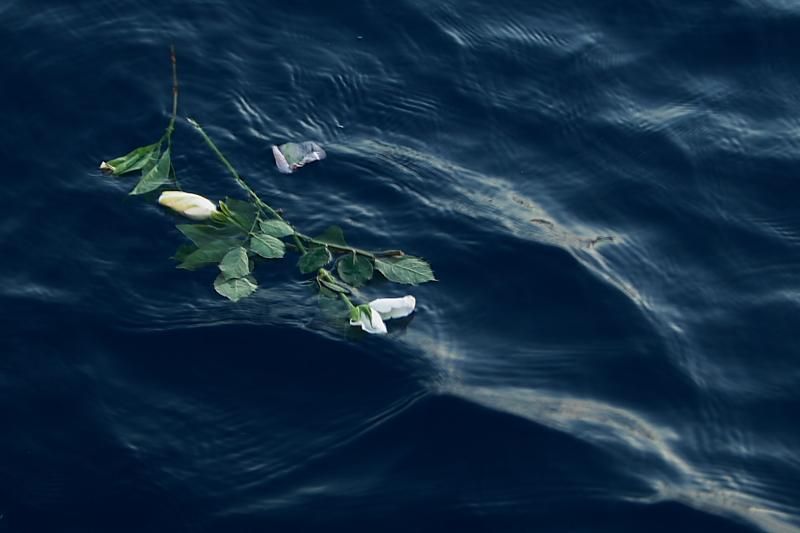 White flowers floating on dark blue ocean water with rippling waves
