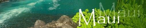 Aerial view of a turquoise ocean and rocky shoreline with the word “Maui” overlaid