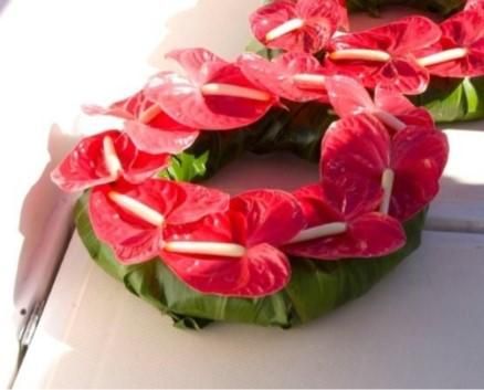Red anthurium flowers arranged in a heart shape on a table next to a pen
