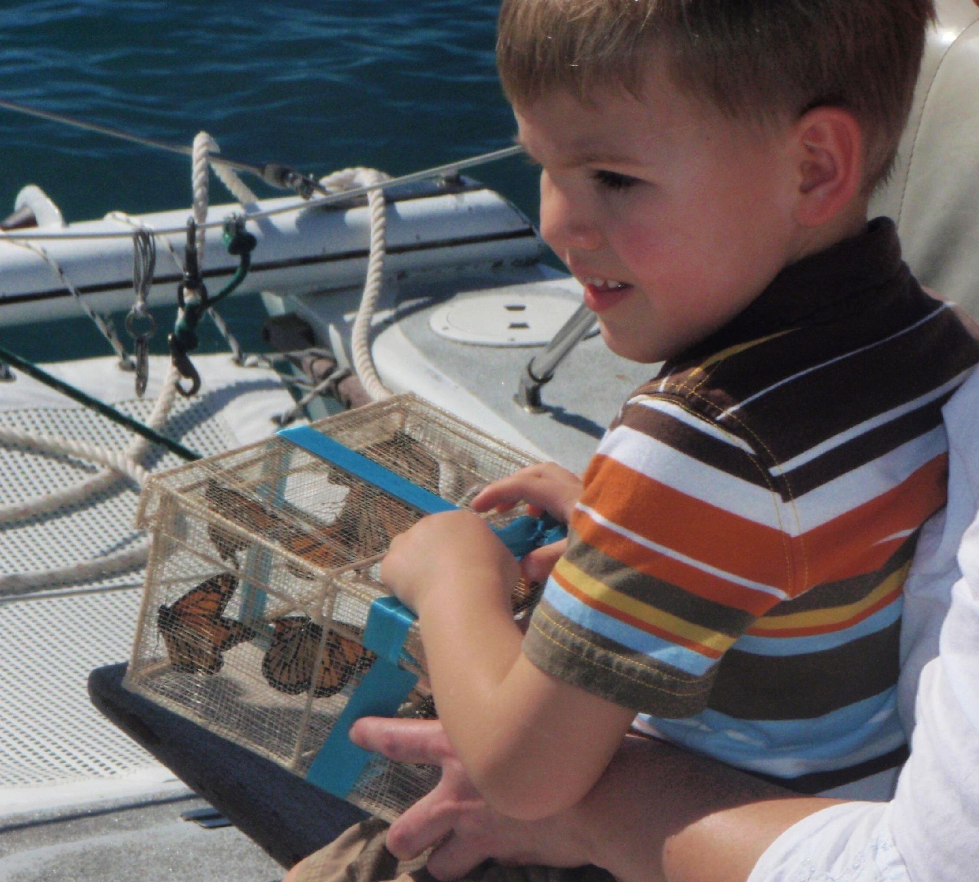 Child sitting on a boat, holding a blue net over the deck near the water