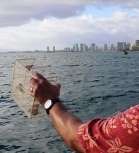 Hand holding a folded map over a choppy sea with a city skyline in the distance