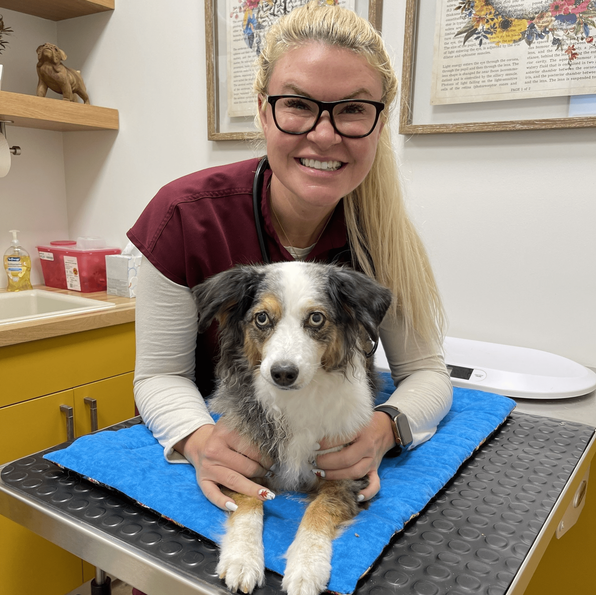 vet with a dog