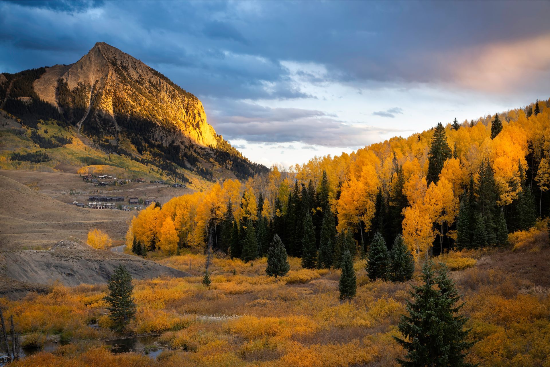 There is a mountain in the background and a forest in the foreground.
