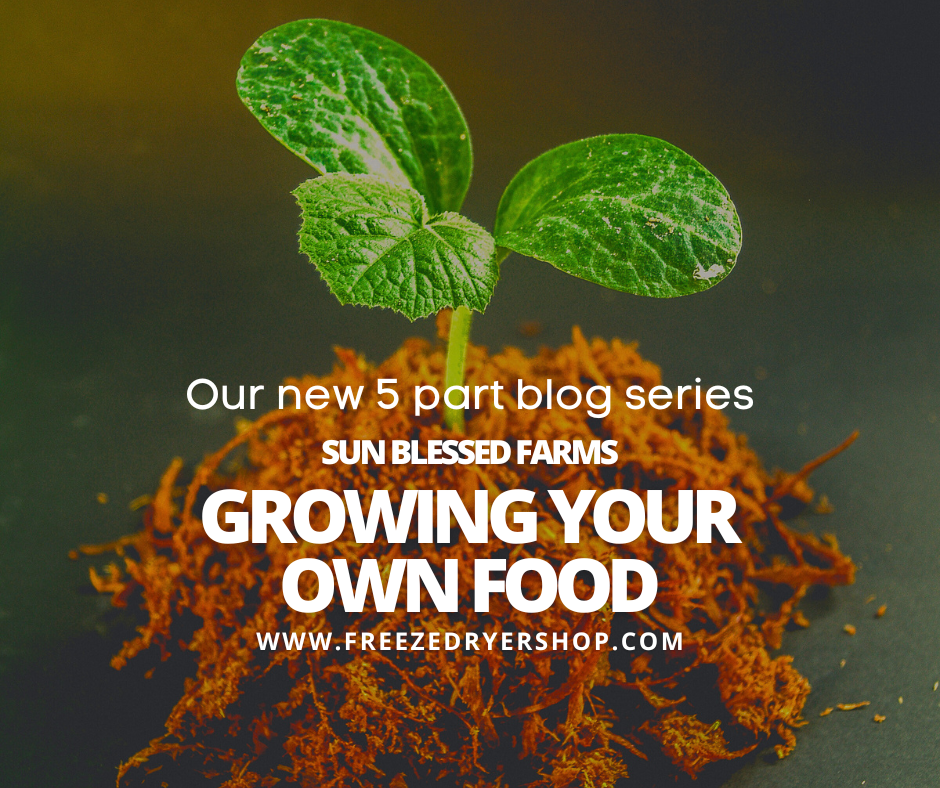 Growing your own food