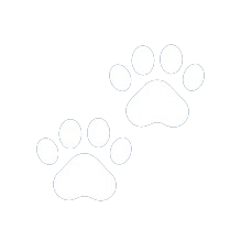 Two outlined paw prints on a white background