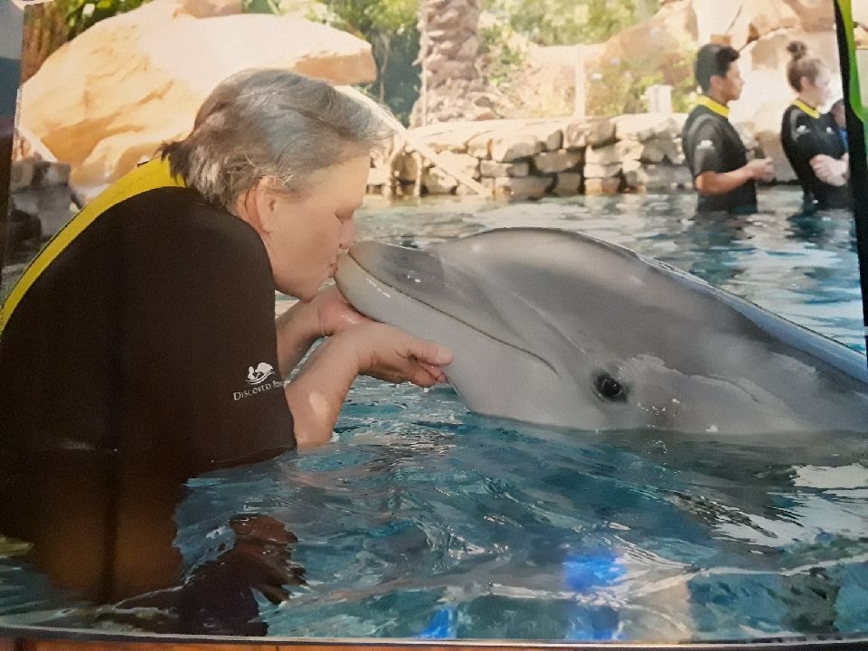 A woman is kissing a dolphin in the water
