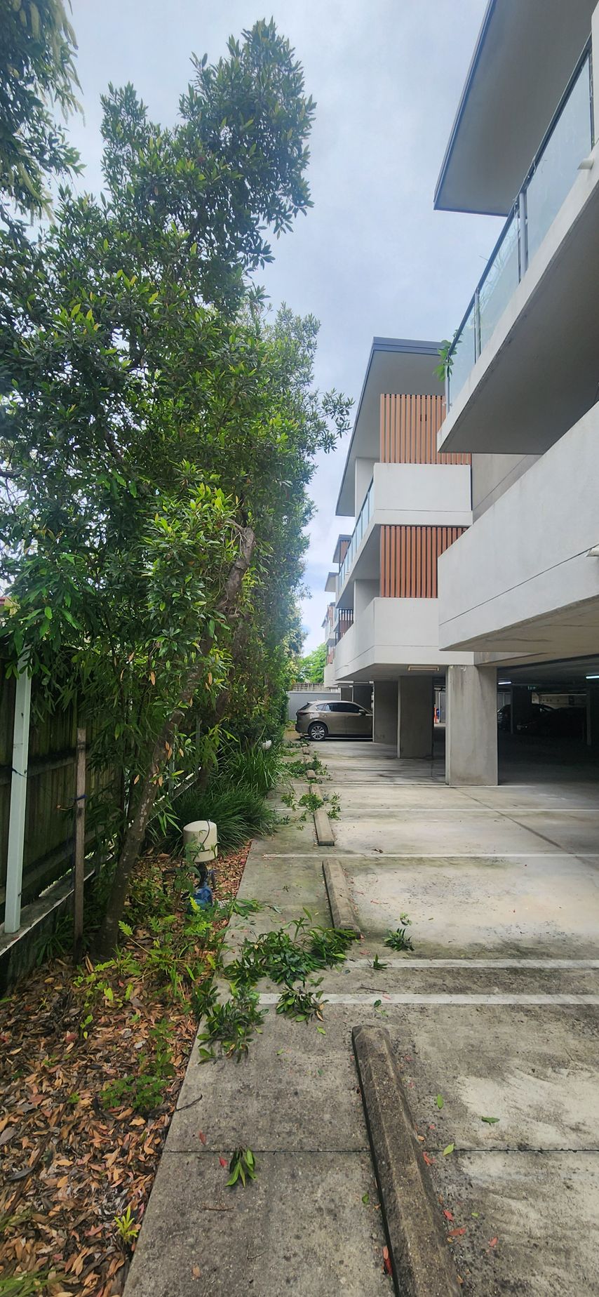 Outdoor walkway beside a white building with orange balconies and tall trees along the left side