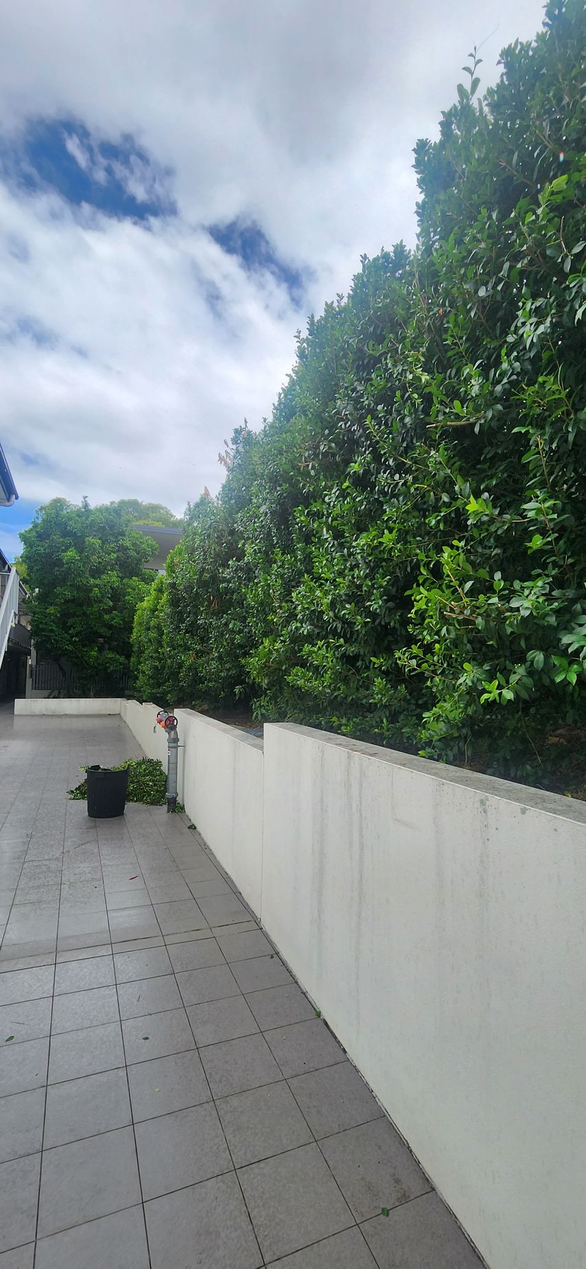 Outdoor patio with gray tile floor, white wall, and tall green hedge under a cloudy sky.