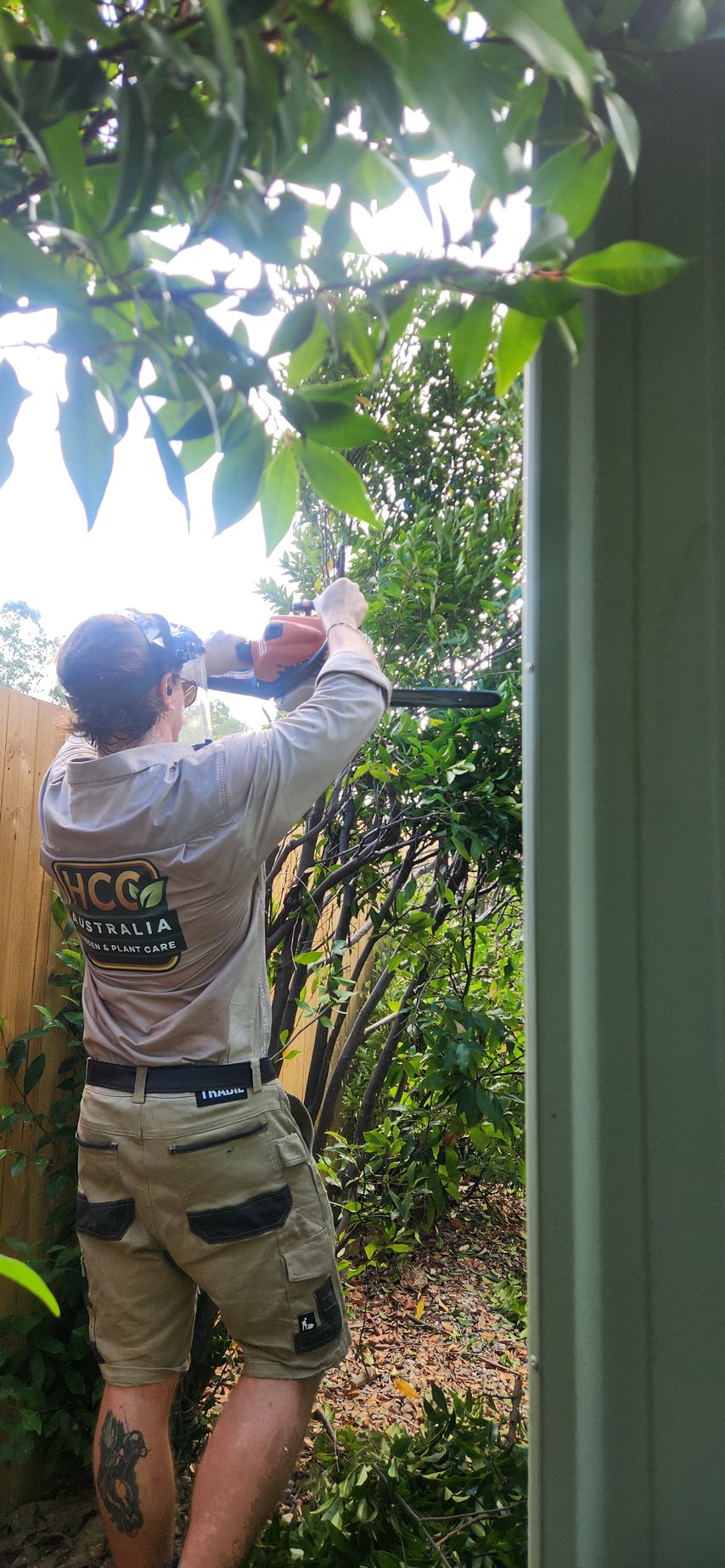 Person in camouflage shorts and shirt reaching up to trim or inspect foliage in a lush garden.