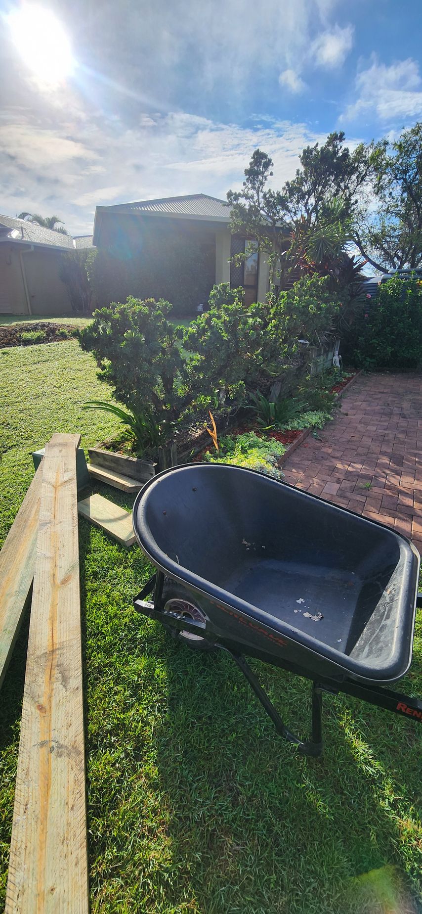 Backyard with a black wheelbarrow, green lawn, shrubs, and a house in bright sunlight