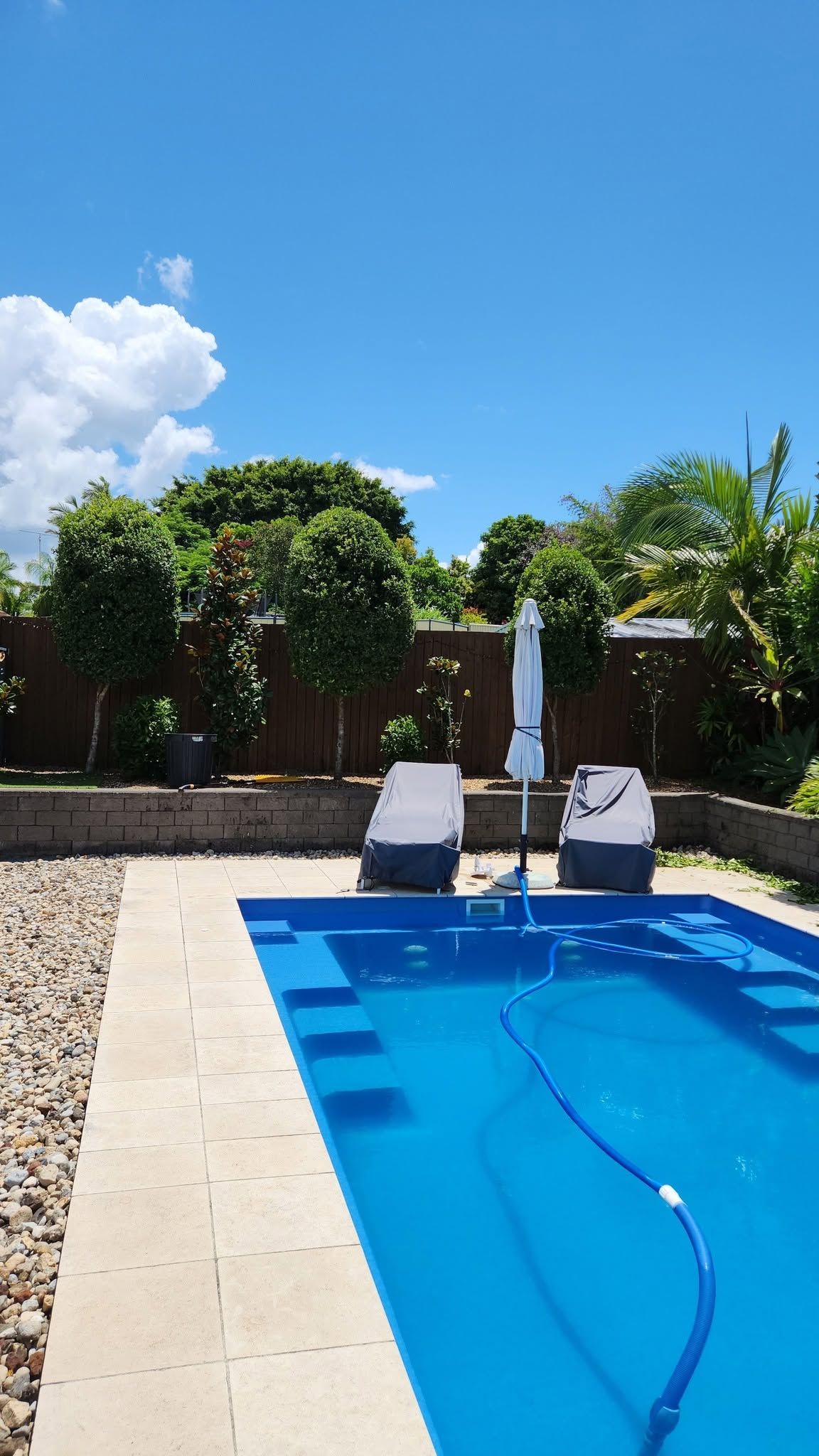 Backyard pool with two white lounge chairs, blue water, and a bright sunny sky