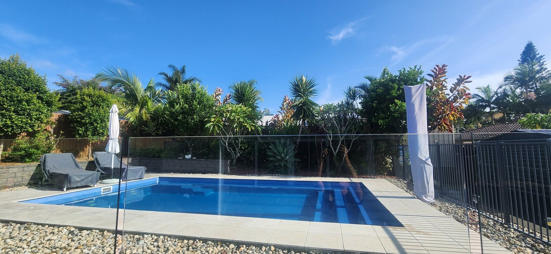 Backyard swimming pool with blue water, stone deck, and lush greenery under a clear sky