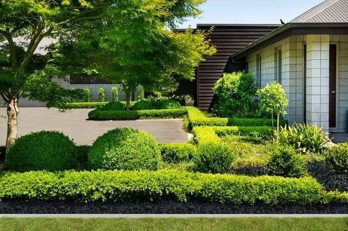 Manicured front yard with shrubs, trees, and a modern house in bright daylight