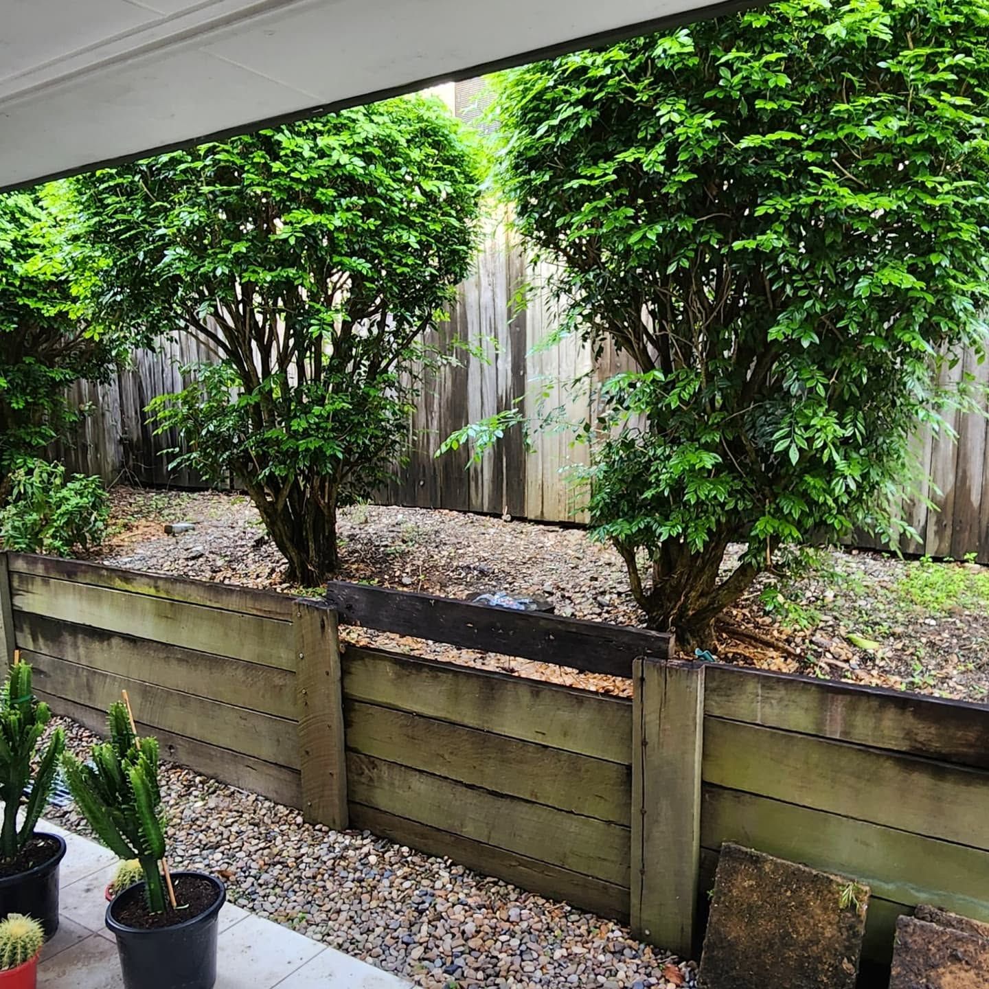 Small backyard with two trimmed trees, wooden fence, gravel ground, and potted plants under a covered patio