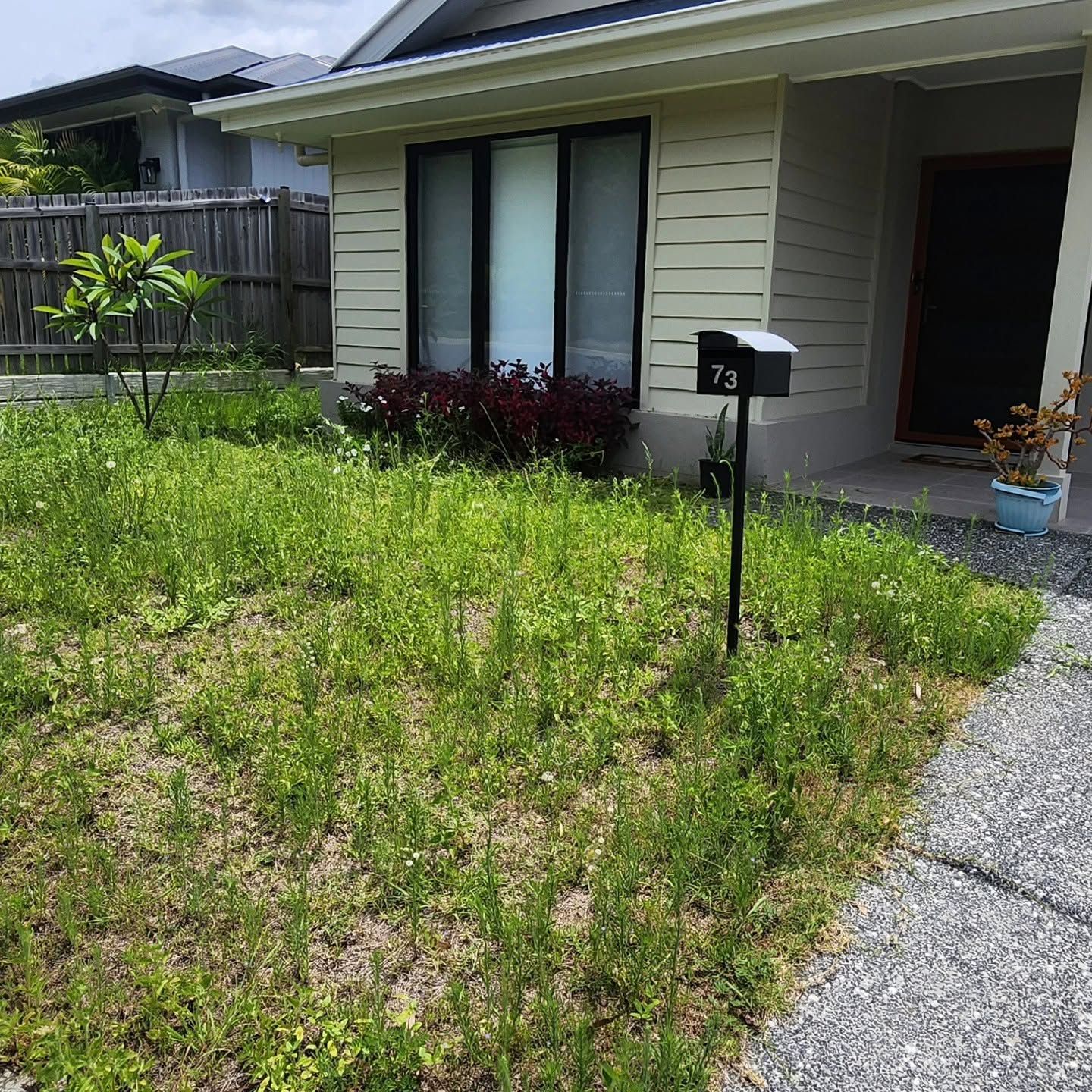 Front yard with overgrown grass, mailbox, and single-story house with light siding and a driveway.