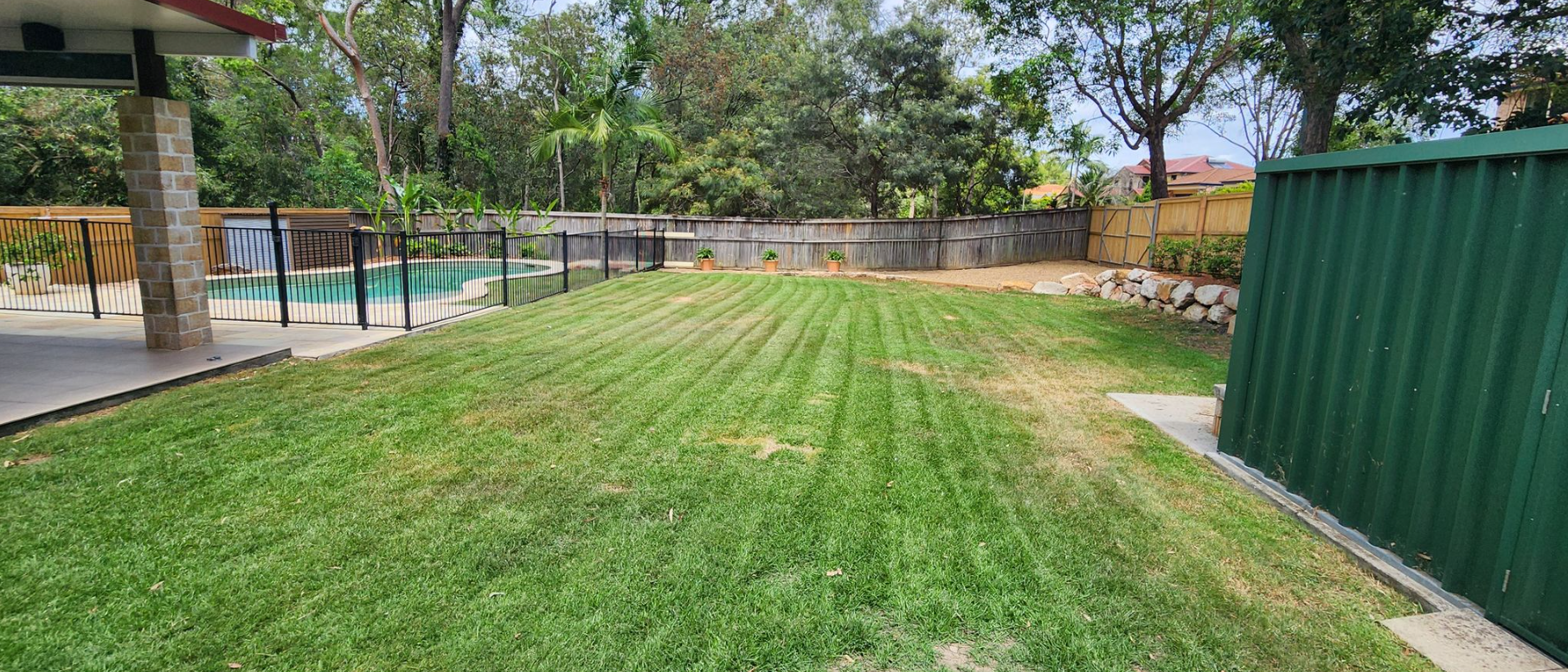 Grassy backyard beside a pool, with a green metal fence and trees in the background.