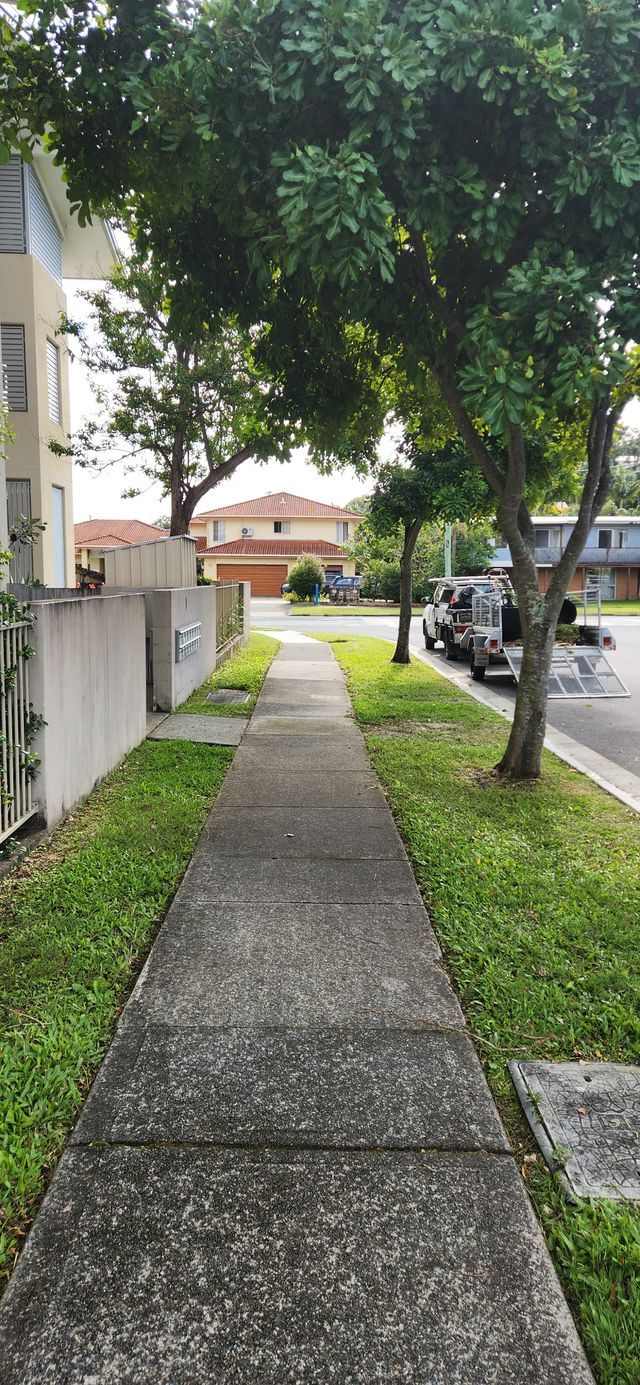 Sidewalk lined with grass and trees leading past parked cars to houses on a quiet street