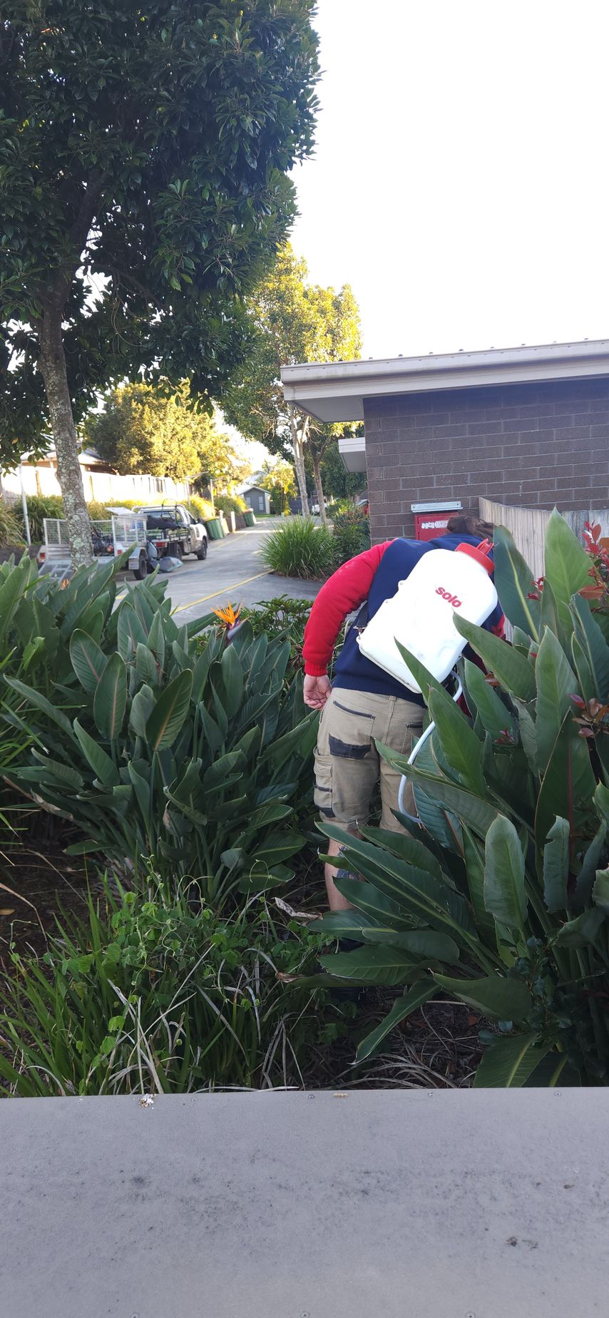 Person in a red shirt and white hat bending over in a garden beside a building.