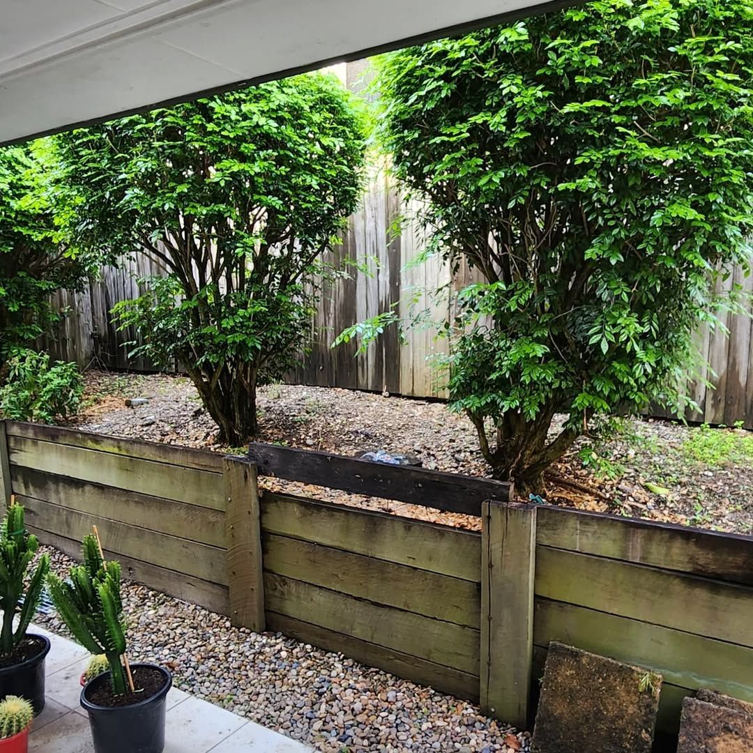 Small backyard garden with trimmed green shrubs behind a wooden fence and gravel ground