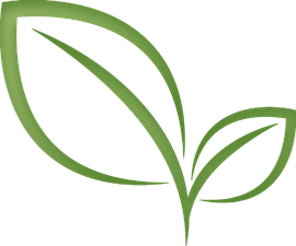 Leaves icon