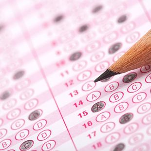 Han_Tutoring_Image_AP