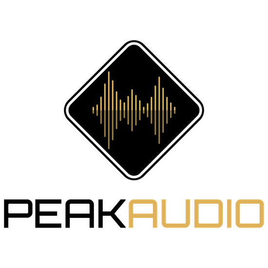 A black and white logo for peak audio with a sound wave.