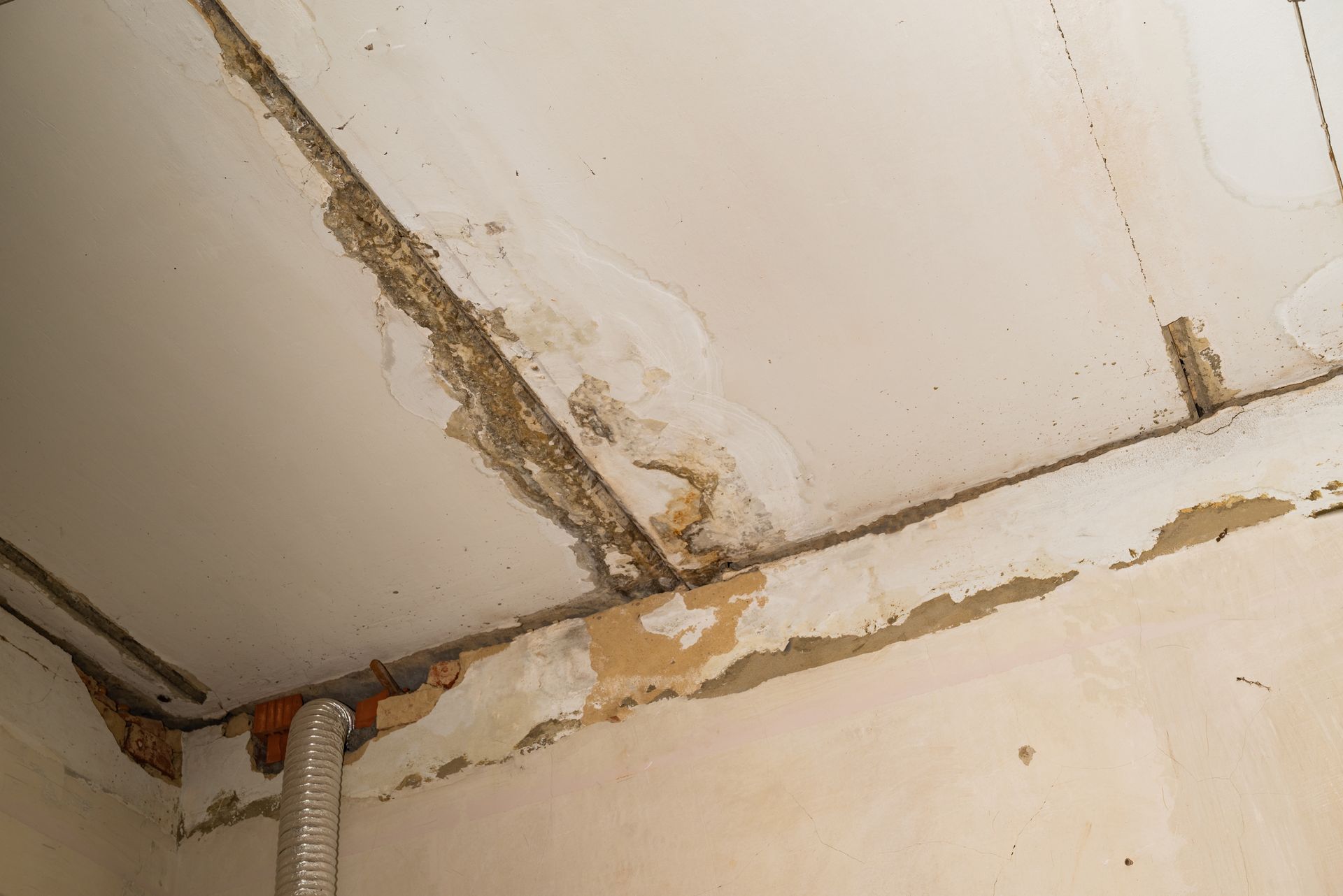 Plafond endommagé avec peinture écaillée, montrant des signes de dégâts d'eau et des matériaux exposés.