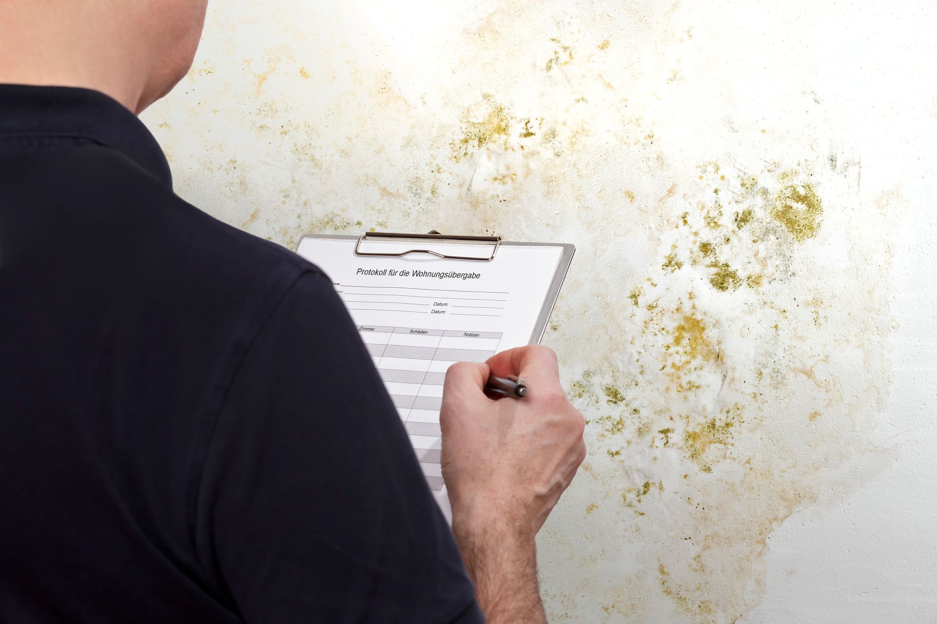 Une personne inspecte la moisissure sur un mur, presse-papiers et stylo à la main. Le mur présente une décoloration jaune et brune.
