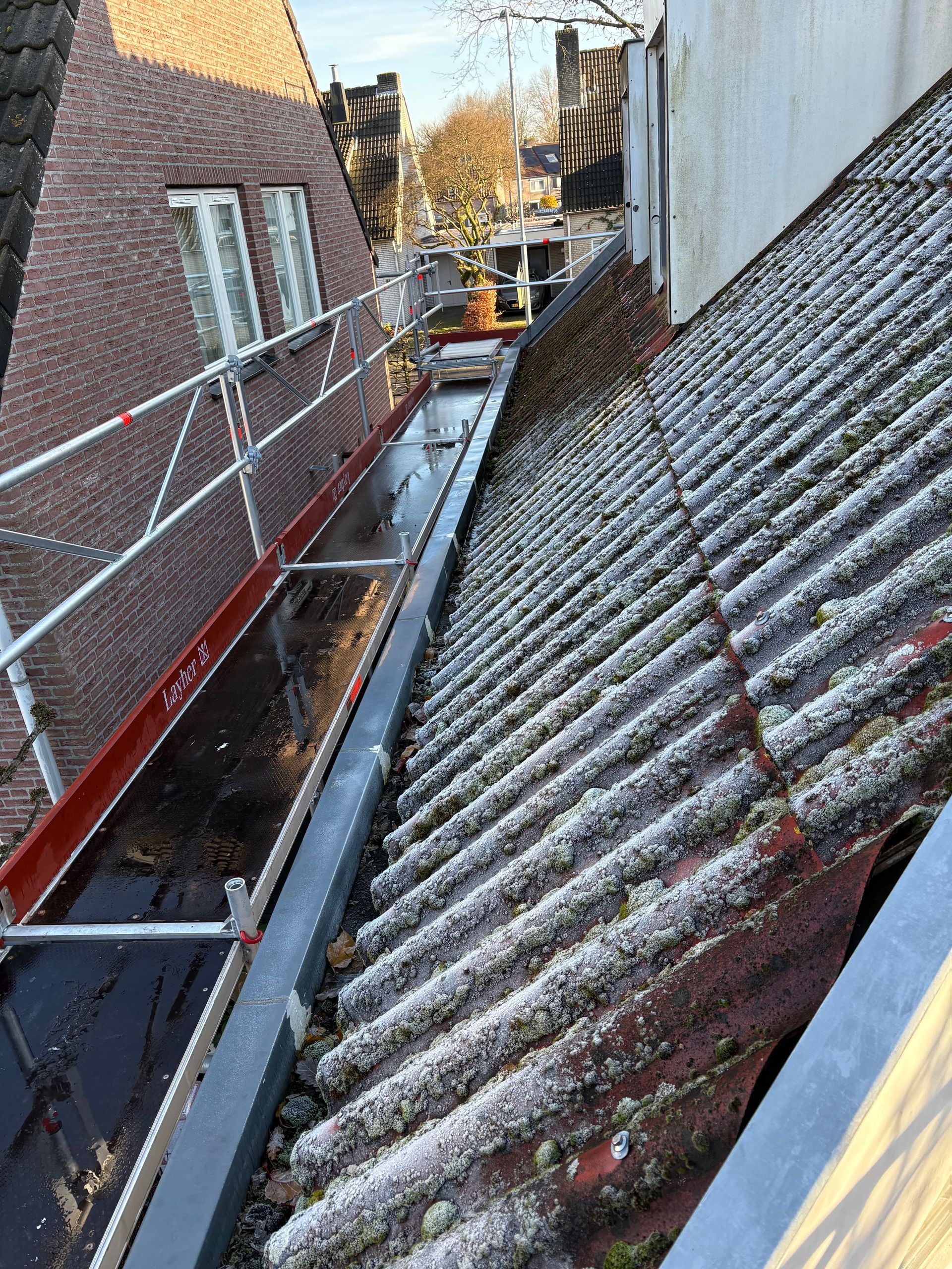 Steiger, steiger huren, steigerbouw, dakrenovatie, dakwerk, steigerbouwer, damen, damen steigerverhuur, steigerwerk, steiger huren per maand