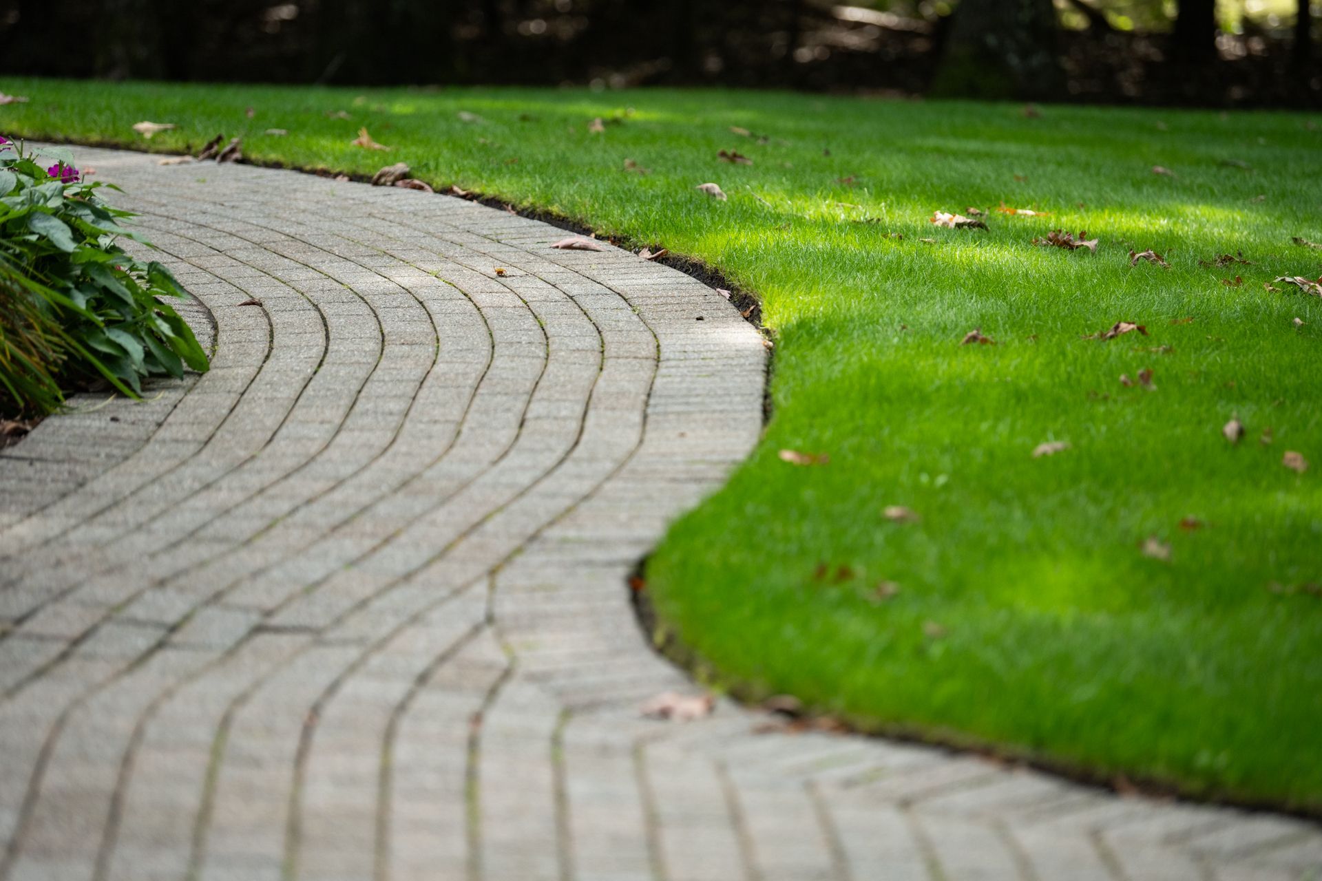 A brick walkway leading to a lush green lawn.