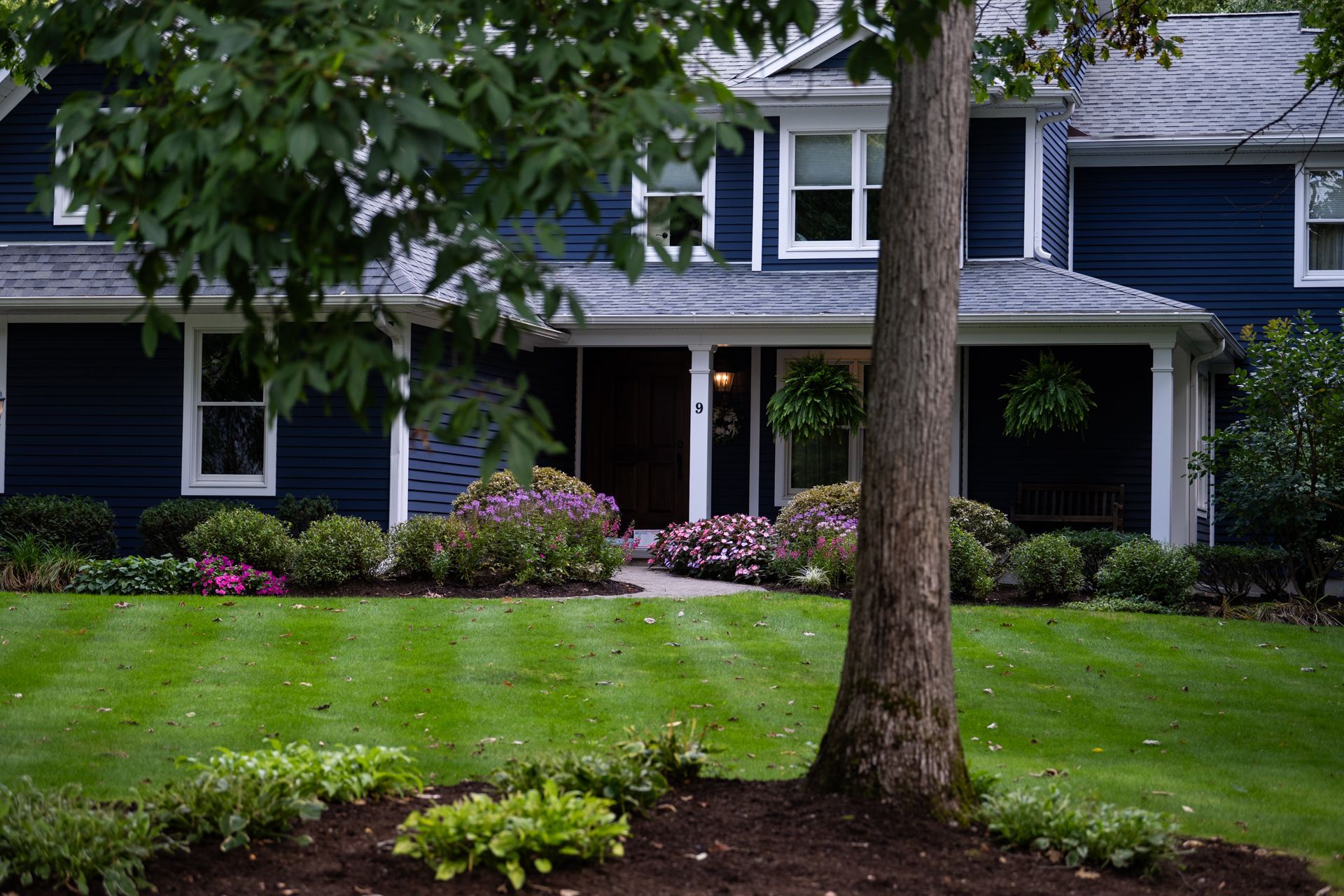 A blue house with a lush green lawn and a tree in front of it.
