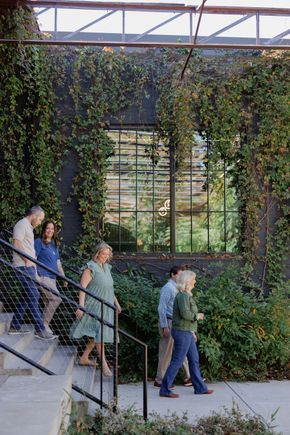 People walking down steps beside an ivy-covered glass wall in a garden conservatory