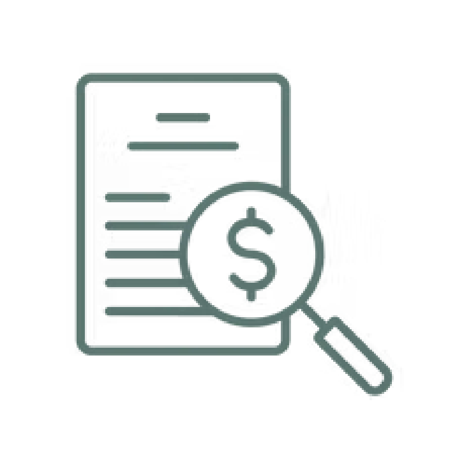 Line document with magnifying glass showing a dollar sign, in gray-green outline icon style