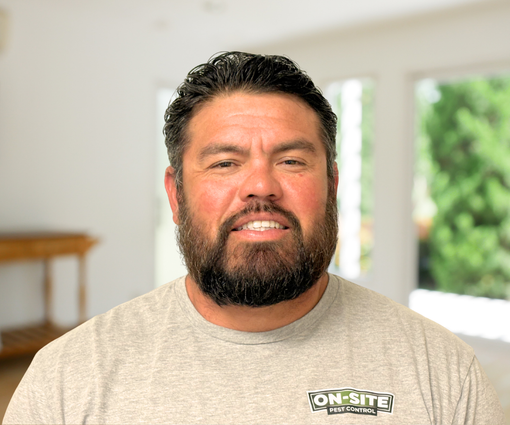Portrait of a smiling bearded man in a beige shirt, seated in a bright room with windows and greenery.