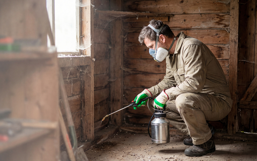 Worker in a mask and gloves spraying insecticide inside a wooden room with a metal canister