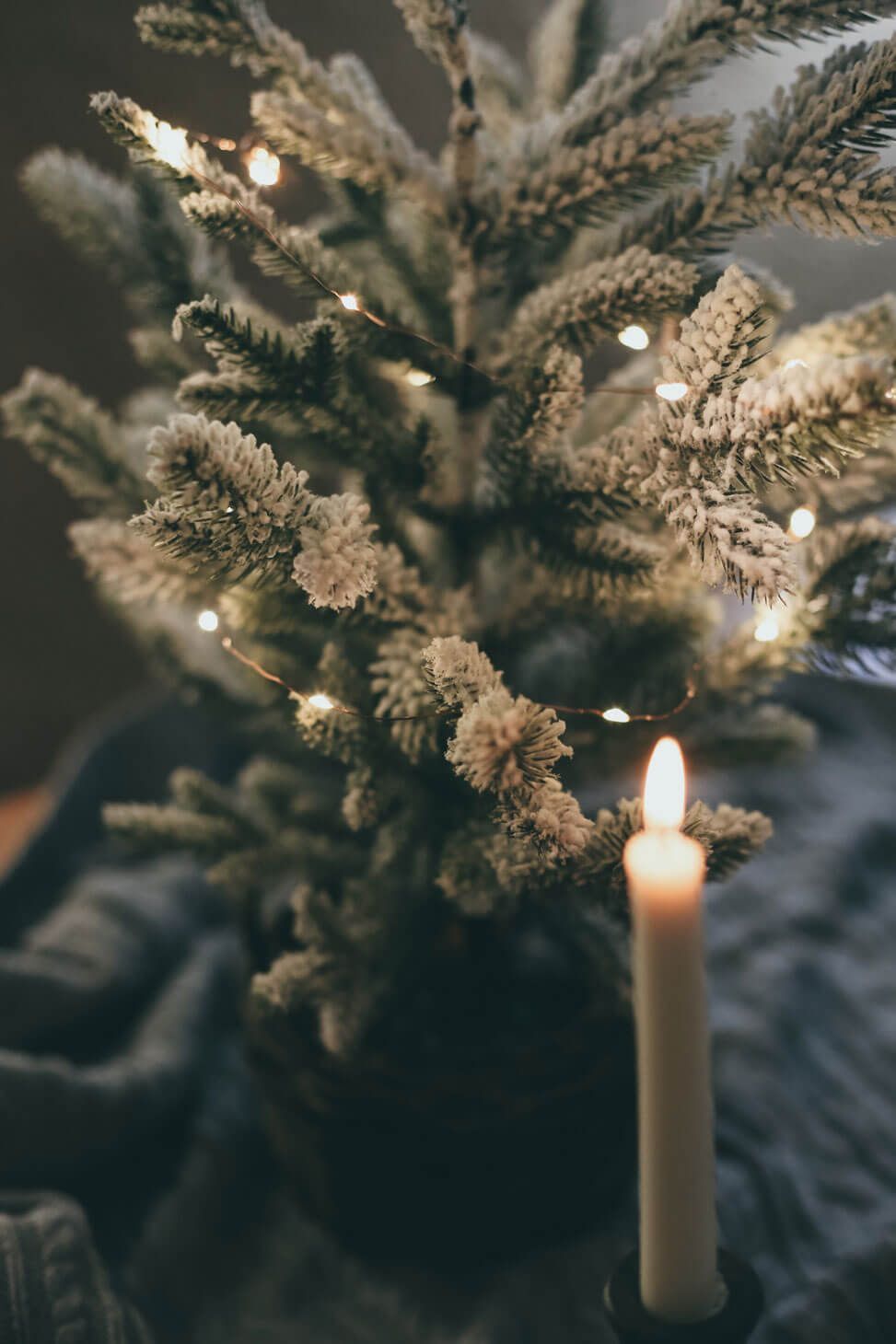candle lit tree