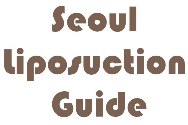 Seoul Liposuction Guide
